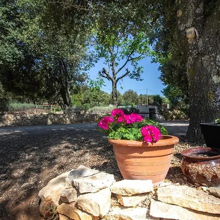 Mas Saint Antoine Holiday home Bourg-Saint-Andeol
