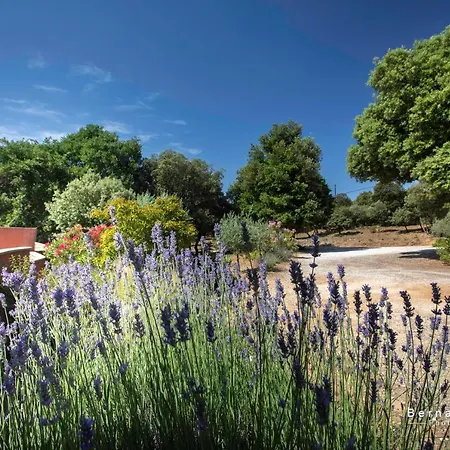 Holiday home Mas Saint Antoine Bourg-Saint-Andeol