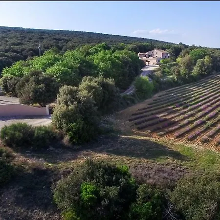 Holiday home Mas Saint Antoine